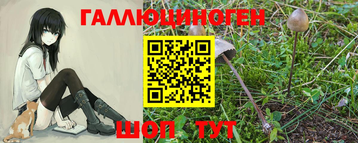Новосибирск  Галлюциногенные грибы мицелий  Вход с VPN 